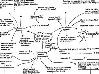 B3 Biology Revision Mindmap