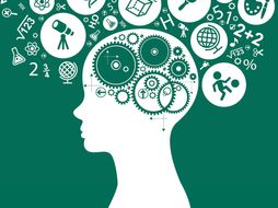 Psychology crib sheets