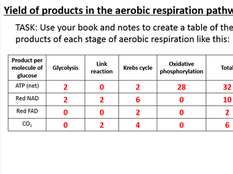 New Biology A Level OCR 5.7.5 Oxidative phosphorylation and the chemiosmotic theory