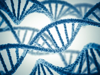 CCEA Life and Health Sciences DNA and the Genetic Code