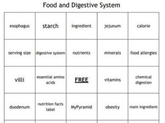 "Food and the Digestive System" Bingo Set for a Middle School Science Course
