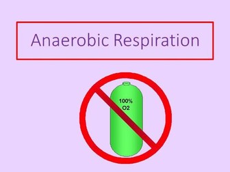 Anaerobic Respiration (Unit 4 - 2018 Curriculum)