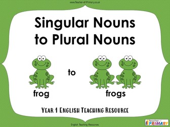 Singular Nouns to Plural Nouns - Year 1
