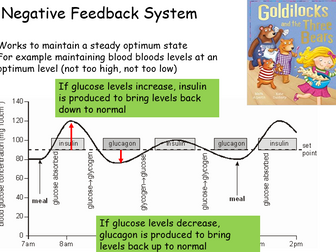 Homeostasis (Combined science)