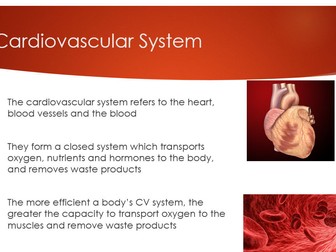 Cardiovascular and Circulatory System Unit of Work