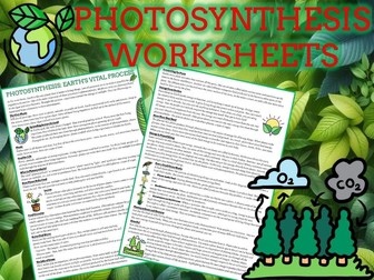 Photosynthesis Reading Comprehension