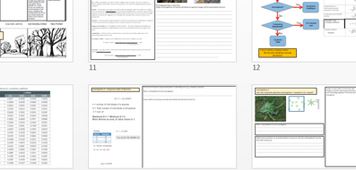 A2 biology ecology coursework examples 05 picture