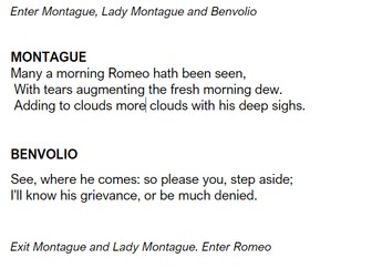 Romeo and Juliet super abridged scheme of work