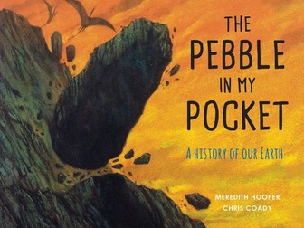 Pebble in my pocket guided reading