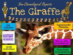 book reports on giraffes