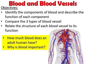 Blood and Blood Vessels