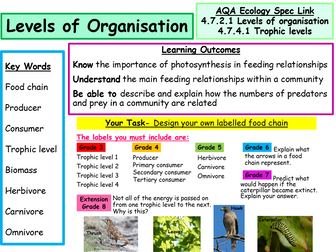 New AQA Ecology Spec- Food Chains, Levels of Organisation & Trophic Levels- Powerpoint & Worksheets