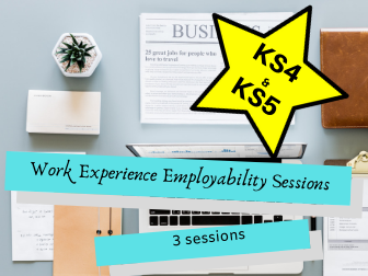 Work Experience Employability Sessions