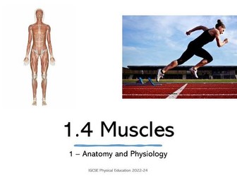 NEW CAMBRIDGE IGCSE PE 2022-24 - The Muscular System