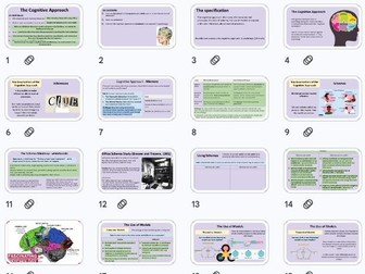 The Cognitive Approach - Approaches NEW AQA 2025 Specification
