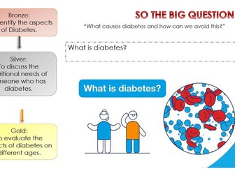 Year 8 Lesson- Diabetes