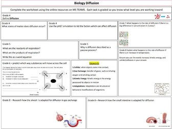 B1 Diffusion