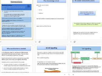 5.1.1 Homeostasis OCR A level Biology  (approx 3-4 lessons)