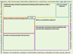 Cell revision poster KS3 | Teaching Resources