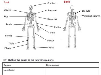 AQA (8582) GCSE PE Booklet-Musculoskeletal System - Instructional Teaching