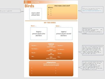 Birds classification and adaptations research lesson