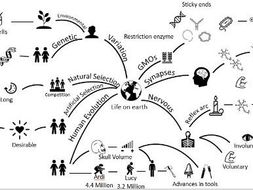 Dual Coding revision: Edexcel-Biology | Teaching Resources