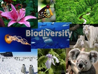 Biodiversity Information Gathering Activity AQA Biology GCSE (9-1)