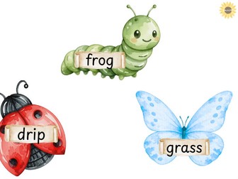 Bug themed CVCC/CCVC