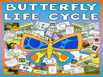 BUTTERFLY LIFE CYCLE TEACHING RESOURCES SCIENCE INSECTS MINIBEAST CATERPILLAR