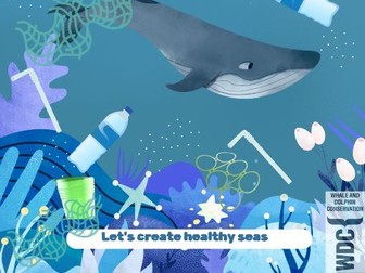 Plastic Pollution resource pack - Eco school Marine Power point, sheets, activities and information