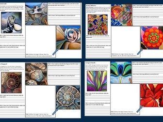 Art cover BUNDLE worksheets - Natural Form