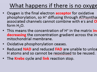 New Biology A Level OCR 5.7.6 Anaerobic respiration in eukaryotes