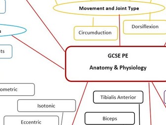 Anatomy and Physiology Mind Map revision