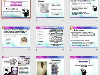 The COGNITIVE Approach AQA Psychology Full Lessons