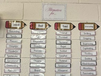 Synonym Wall Display