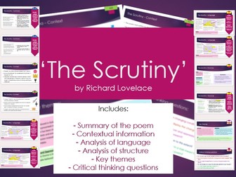 'The Scrutiny' Lesson and Analysis