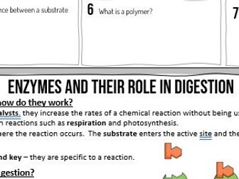 GCSE Enzymes and their role in digestion guided reading