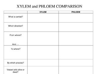 Xylem and Phloem Comparison Table