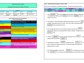 The causes of the Great Irish Famine worksheet