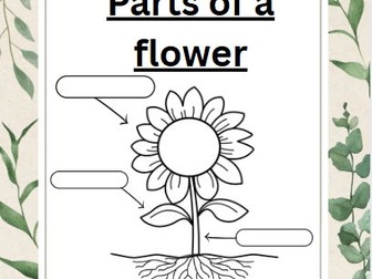label flower worksheet