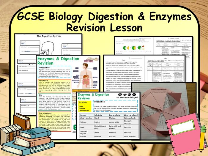 KS4 GCSE Biology (Science) Enzymes & Digestion Revision Lesson ...