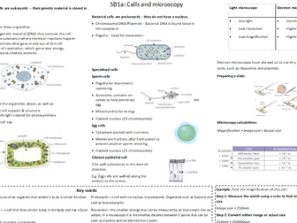 Edexcel SB1 Revision Mat - Key Concepts in Biology