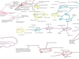 AQA A-level Biology essay writing resources