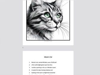 Maisie’s Cat | Short Fiction Comprehension | Suitable for KS1 & KS2