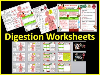Biology Cover Work/ Lesson - Digestion Worksheets