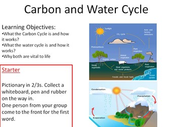Carbon and Water Cycle New GCSE Bio 9-1