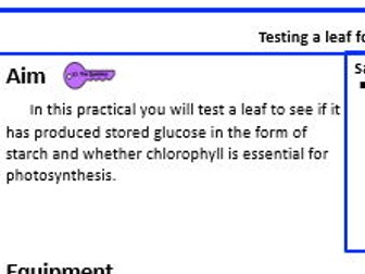 KS3 Testing a leaf for starch Write-Up