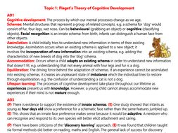 Cognitive Development Revision (A2 Psychology)