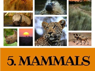 5 GREAT READING LESSONS:  Mammals