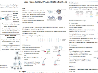 Edexcel SB3 Revision Mat - Genetics